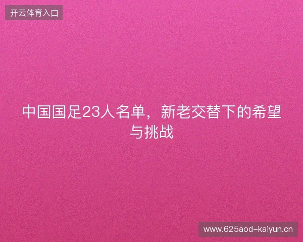 中国国足23人名单，新老交替下的希望与挑战