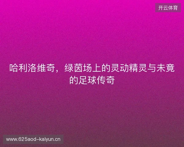 哈利洛维奇，绿茵场上的灵动精灵与未竟的足球传奇